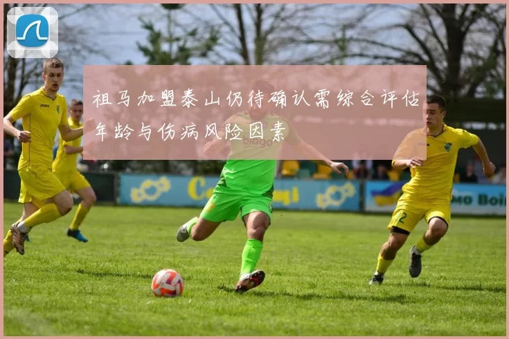 祖马加盟泰山仍待确认需综合评估年龄与伤病风险因素